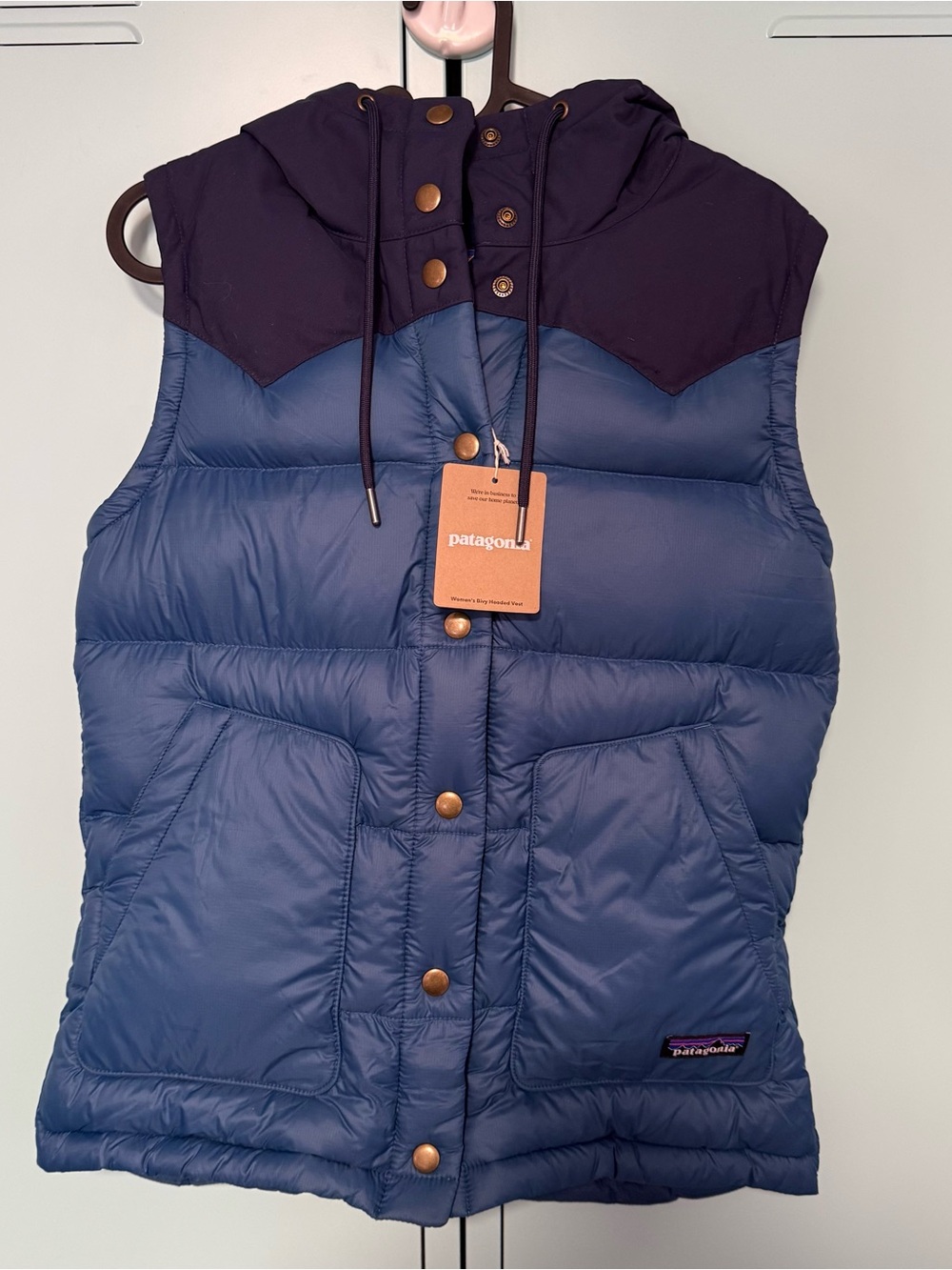 Patagonia Bivy Hooded Vest